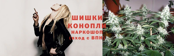 ешки Гусев