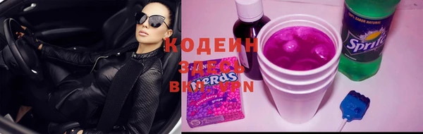 ешки Гусев
