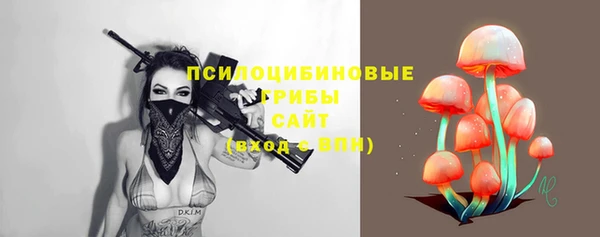 ешки Гусев