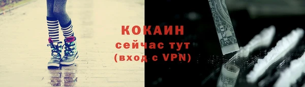 ешки Гусев