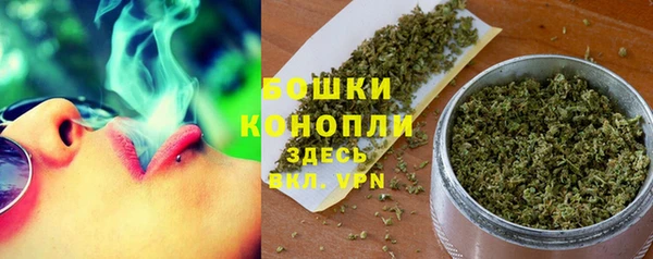 ешки Гусев