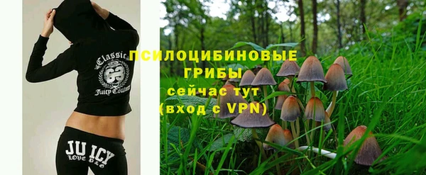 PSILOCYBIN Дмитровск