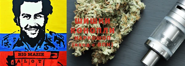 гидропоника Дмитриев