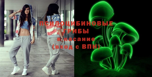 ешки Гусев