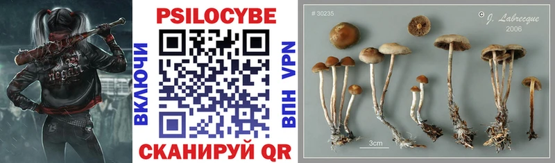 Купить закладки  Еманжелинск  Галлюциногенные грибы прущие грибы 